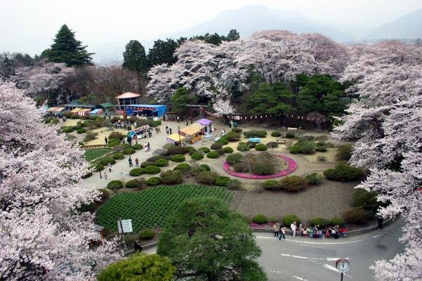 🏞️ 누마타 공원(누마타 코엔) 이미지 5